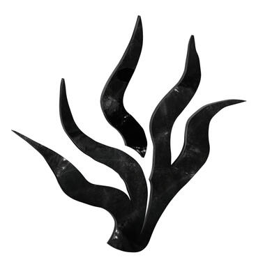 Kelp Logo